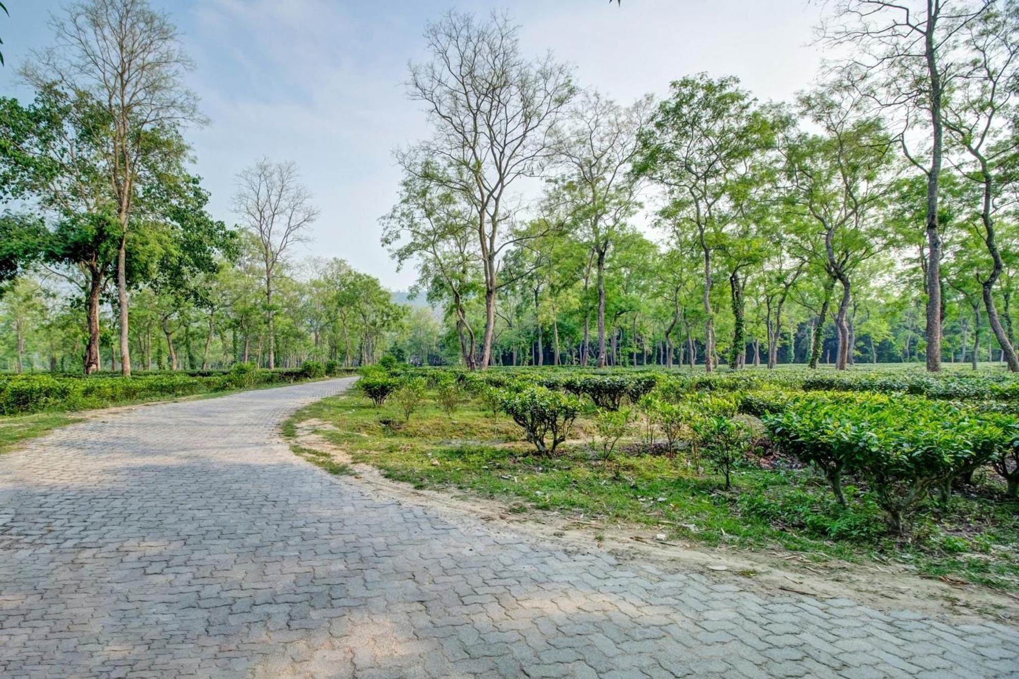Hotel O Heritage Nest Resort Kazirnga Kaziranga Ngoại thất bức ảnh