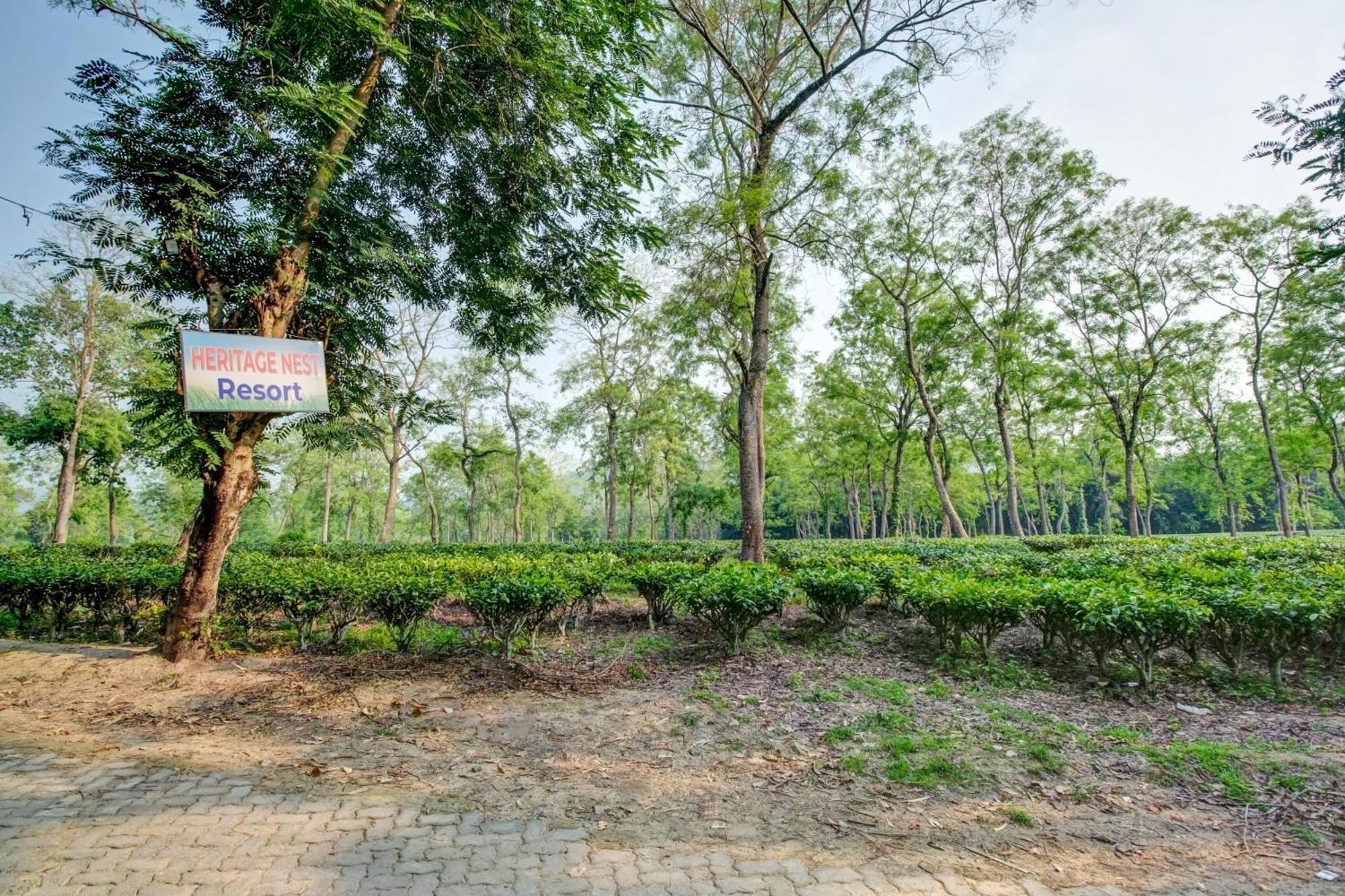 Hotel O Heritage Nest Resort Kazirnga Kaziranga Ngoại thất bức ảnh